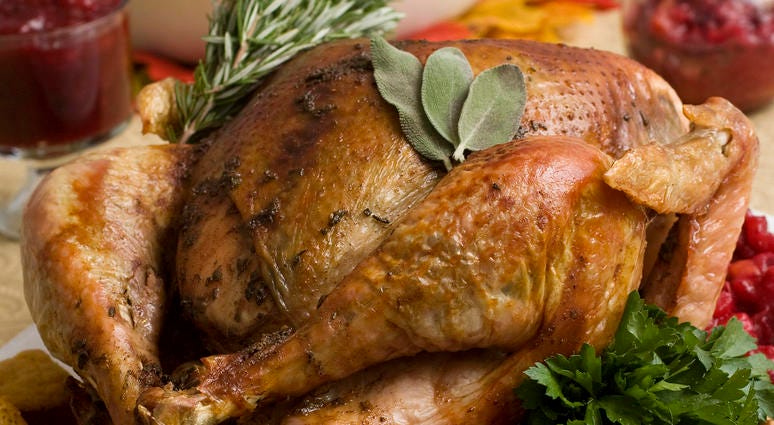 Thanksgiving turkey in Concord, N.H. Thanksgiving turkey in Concord, N.H.