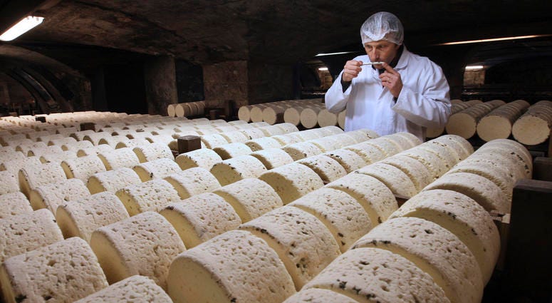 Bernard Roques, a refiner of Societe company, smells a Roquefort cheese as they mature in a cellar in Roquefort, southwestern France, Jan. 21, 2009. Bernard Roques, a refiner of Societe company, smells a Roquefort cheese as they mature in a cellar in Roquefort, southwestern France, Jan. 21, 2009.