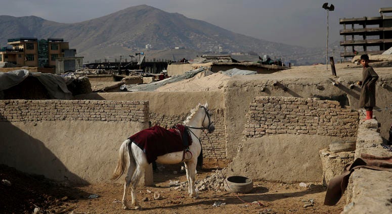 An Afghan boy stands on a wall near a horse tied up at a camp for internally displaced people in Kabul, Afghanistan, Monday, Dec. 9, 2019. An Afghan boy stands on a wall near a horse tied up at a camp for internally displaced people in Kabul, Afghanistan, Monday, Dec. 9, 2019.