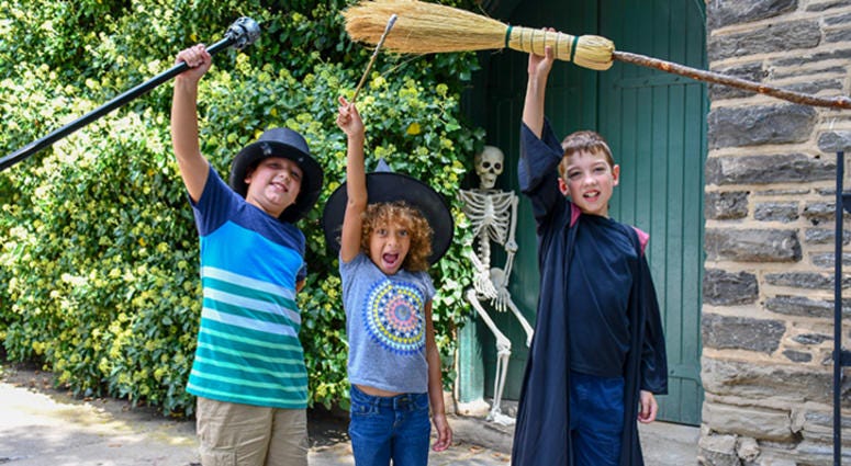 Wizard and Witches Festival in Chestnut Hill. Wizard and Witches Festival in Chestnut Hill.