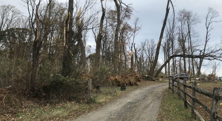 Photo taken at Clonmel Farm. One week after the EF2 tornado touched down in Delaware County, animal farms are finding insurance isn't covering everything. Photo of the aftermath of a tornado at Clonmel Farm.