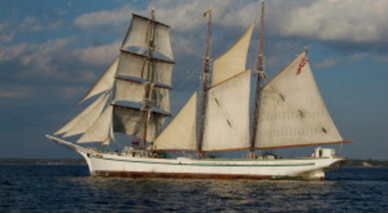 Gazela Gazela