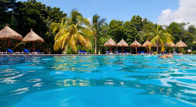 tropical pool in the Riviera Maya tropical pool in the Riviera Maya
