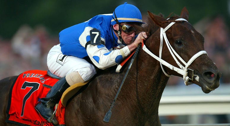 Smarty Jones with jockey Stewart Elliott heads into the homestretch on May 15, 2004 at the Pimlico Race Course in Baltimore, Maryland. Smarty Jones