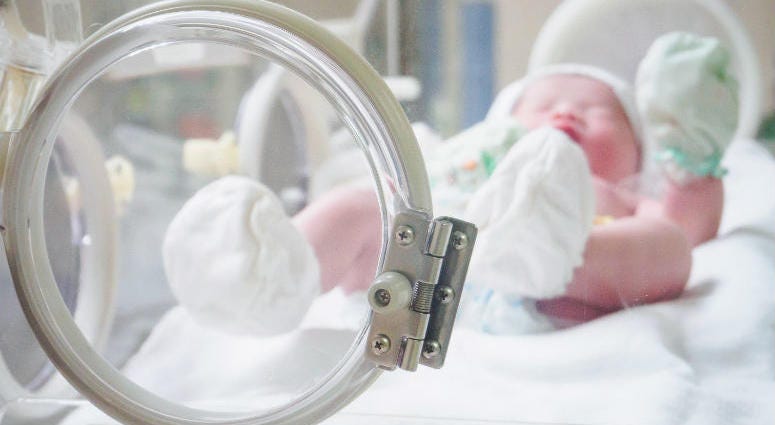 Newborn baby inside incubator in hospital post delivery room. Newborn baby inside incubator in hospital post delivery room.