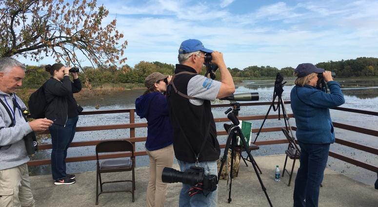 Area birders come together at John Heinz Wildlife Refuge for the Big Sit event, held simultaneously in 44 countries. Area birders come together at John Heinz Wildlife Refuge for the Big Sit event, held simultaneously in 44 countries.
