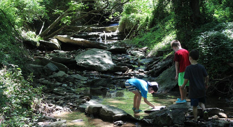 Riverbend Environmental Education Center summer program Riverbend Environmental Education Center