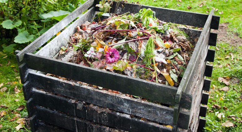 compost bin compost bin