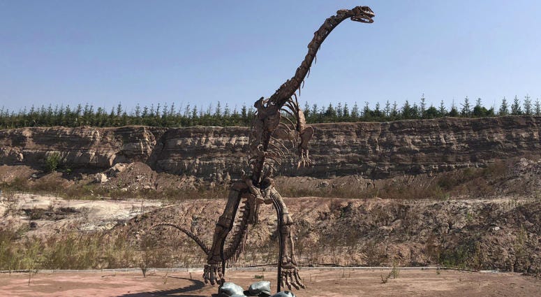 In this Sept. 12, 2018, photo, a dinosaur model stands near the site of a future dinosaur museum in Yanji, China. In this Sept. 12, 2018, photo, a dinosaur model stands near the site of a future dinosaur museum in Yanji, China.