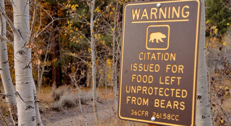 The way you pack your food is also regulated in many campsites so you don’t attract bears or other wildlife. Camping Laws