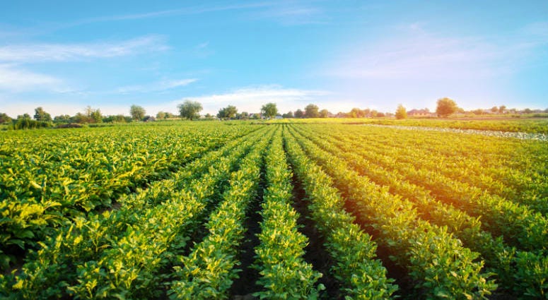 The year 2018 will go down as one of the worst in decades for Pennsylvania farmers. The year 2018 will go down as one of the worst in decades for Pennsylvania farmers.