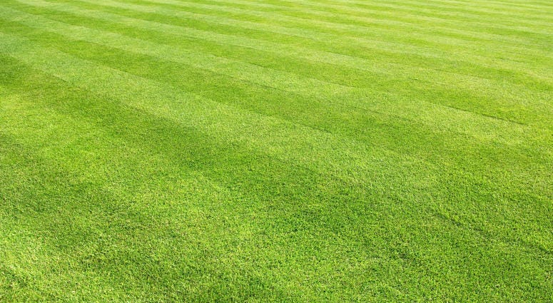 Lawn Lawn