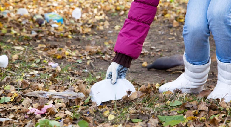 Girl picks up garbage and leaves in the park. Park Cleanup