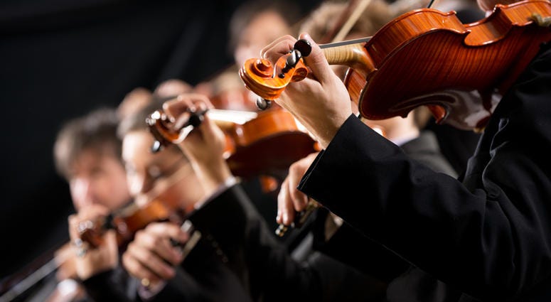Orchestra Orchestra