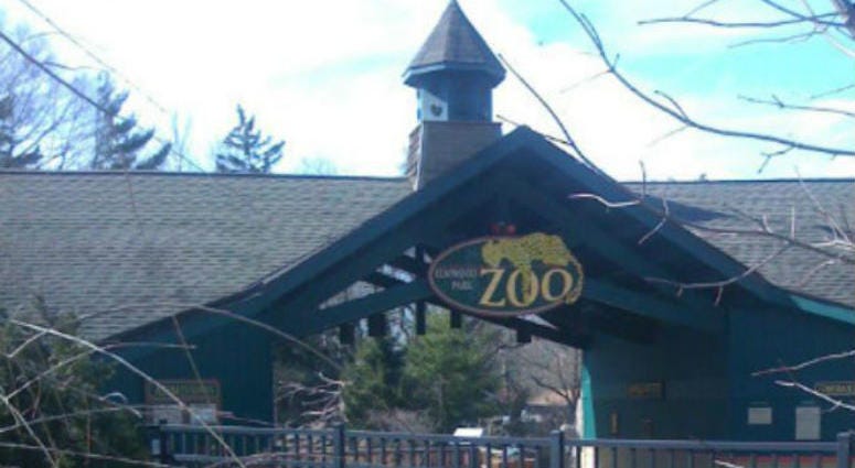 Elmwood Park Zoo in Norristown is the first zoo in the world to be designated a “Certified Autism Center." Elmwood Park Zoo