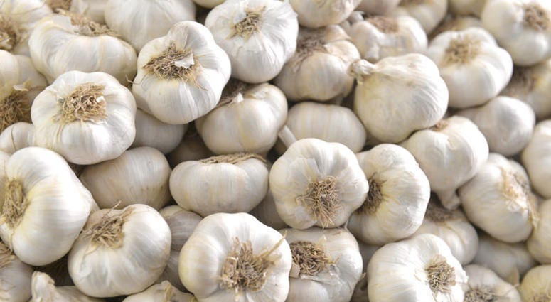 Garlic Garlic