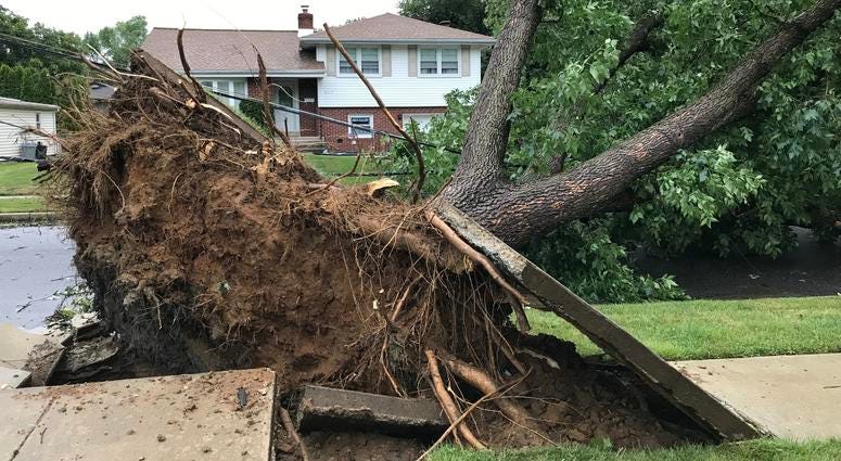 Tree down in Cherry Hill, New Jersey. Tree down in Cherry Hill, New Jersey.