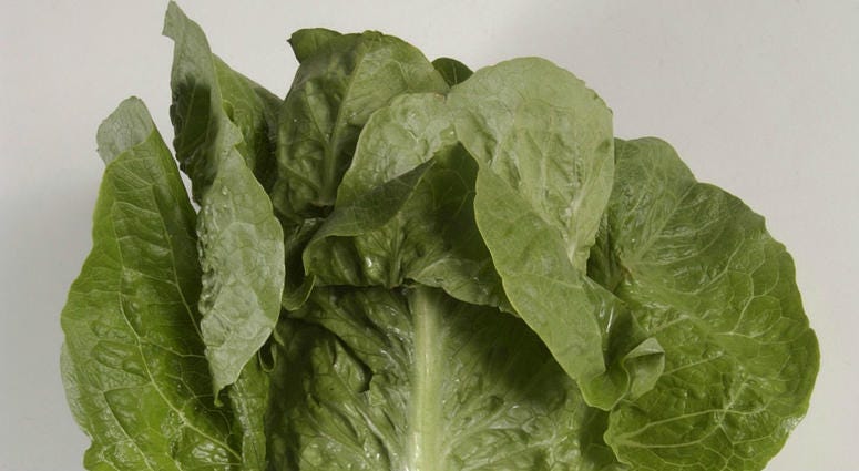 On Friday, June 1, 2018, the U.S. Centers for Disease Control and Prevention said four more deaths have been linked to a national romaine lettuce food poisoning outbreak, bringing the total to 5. Romaine lettuce