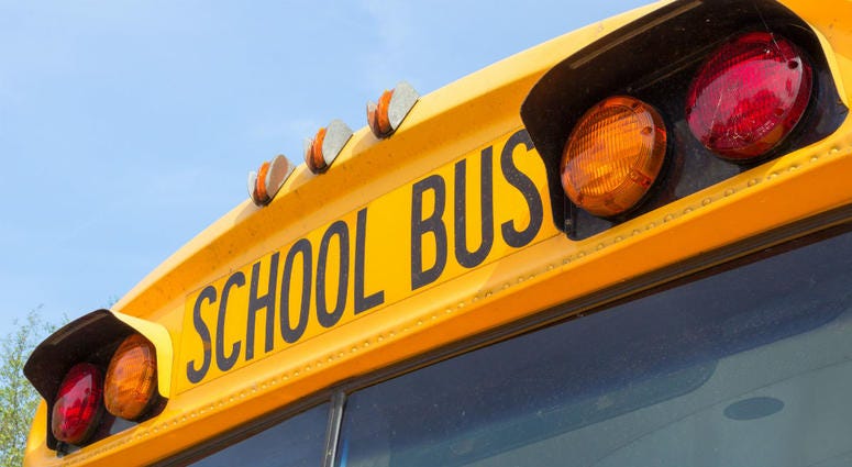 School bus School bus
