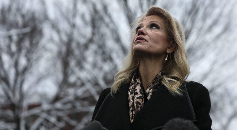 Counselor to the President, Kellyanne Conway speaks to members of the media outside of the West Wing of the White House on January 14, 2018 in Washington, DC. Counselor to the President, Kellyanne Conway speaks to members of the media outside of the West Wing of the White House on January 14, 2018 in Washington, DC.