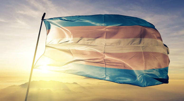 Transgender flag Transgender flag