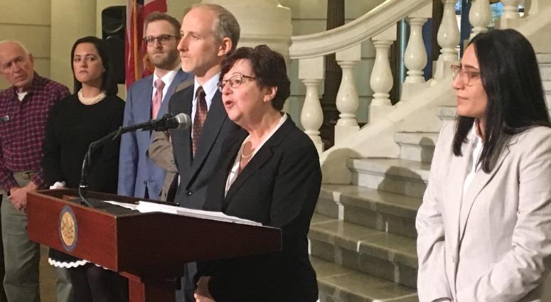 Susan Frietsche (center) speaks at the Capitol during a Women's Law Project news conference in Harrisburg, Jan. 16, 2019. Susan Frietsche (center) speaks at the Capitol during a Women's Law Project news conference.