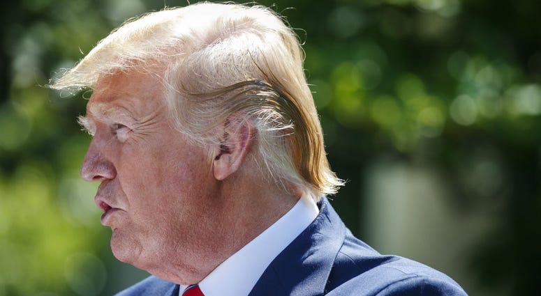 President Donald Trump speaks during a news conference with Polish President Andrzej Duda in the Rose Garden of the White House, Wednesday June 12, 2019, in Washington. President Donald Trump speaks during a news conference with Polish President Andrzej Duda in the Rose Garden of the White House, Wednesday June 12, 2019, in Washington.