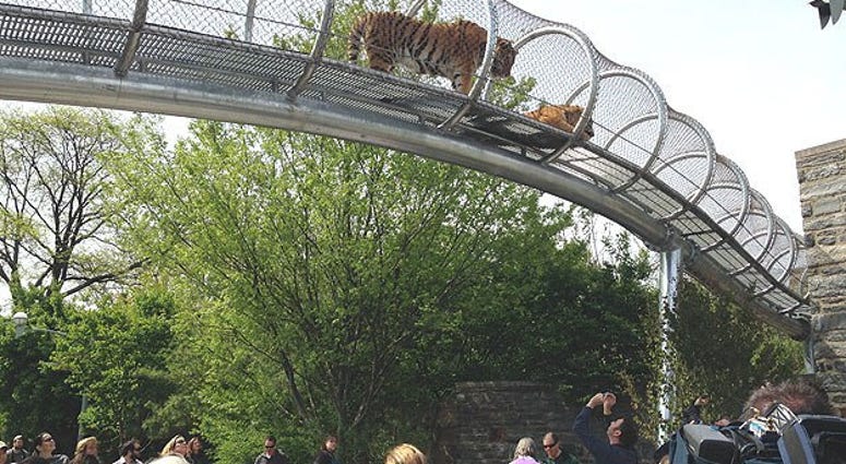 The Philadelphia Zoo The Philadelphia Zoo