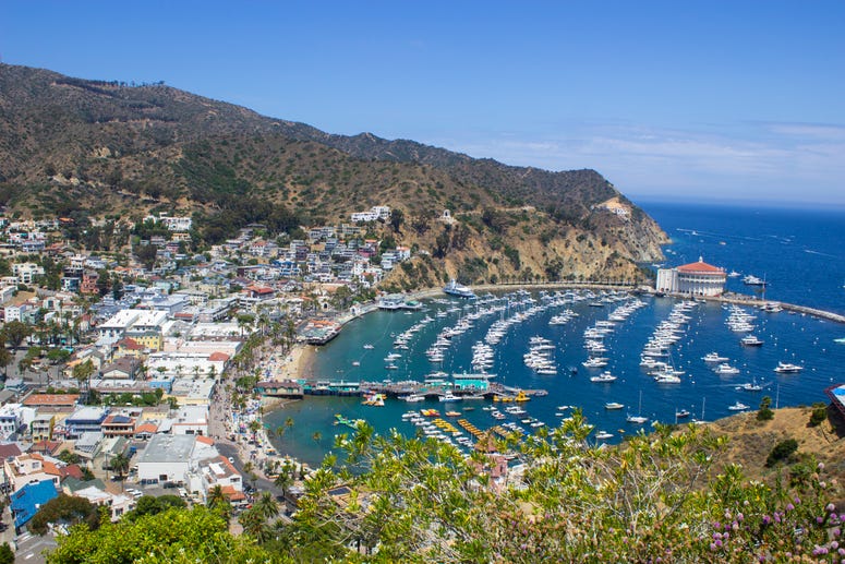 Avalon