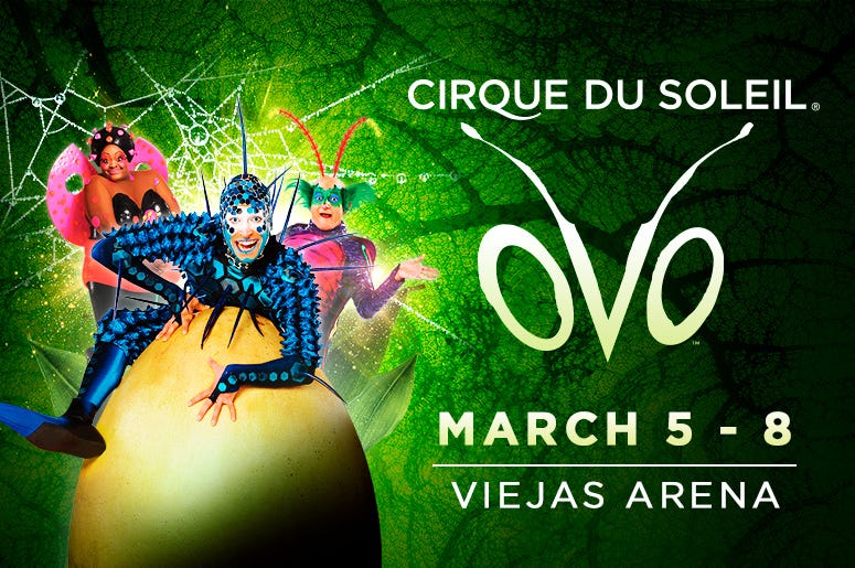 Cirque Du Soleil