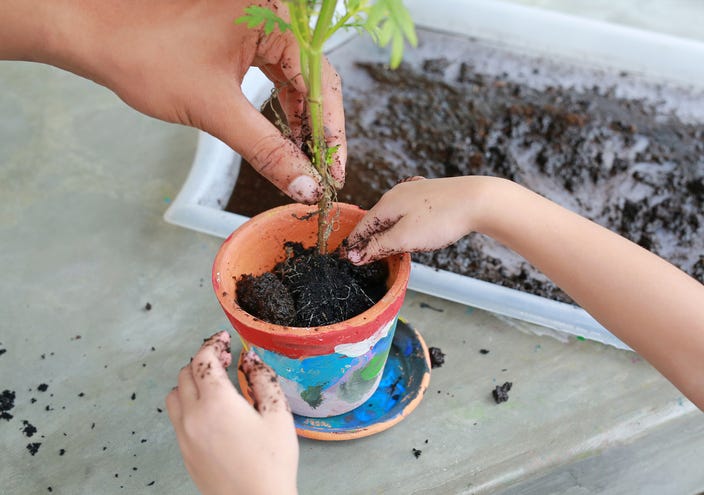 Planting