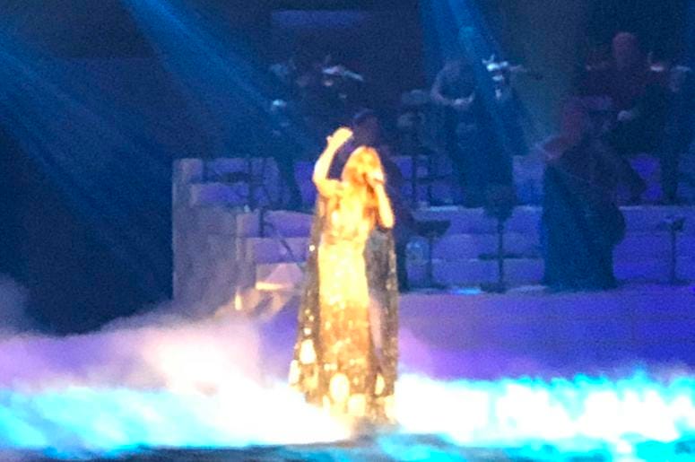 Escape to Vegas to see Celine Dion Winner trip Escape to Vegas to see Celine Dion Winner trip