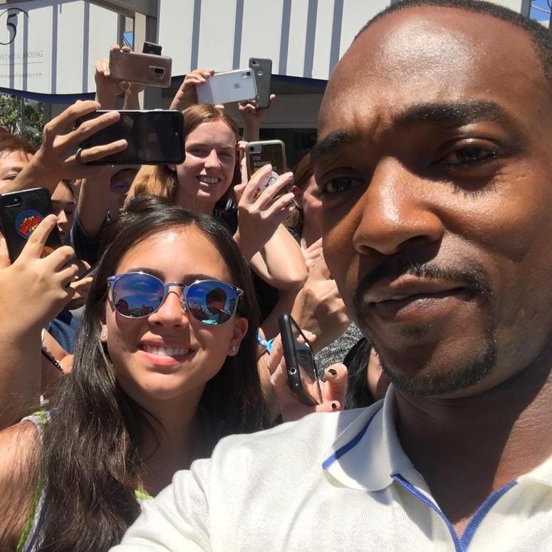 Anthony Mackie (Falcon)