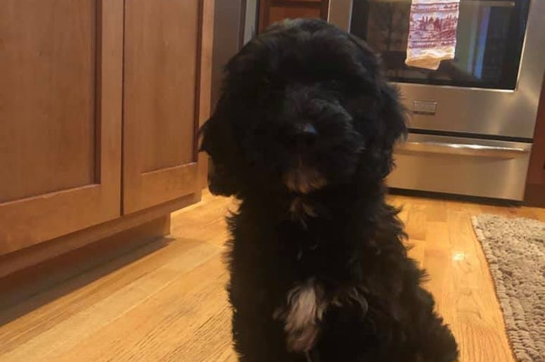 GRACIE