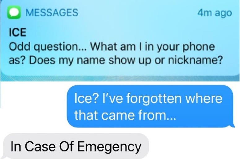 ICEDavid