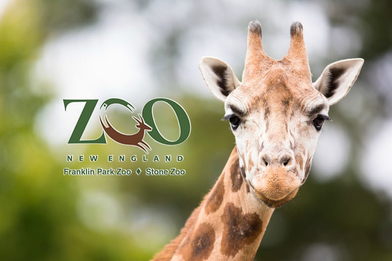 Zoo New England Zoo New England