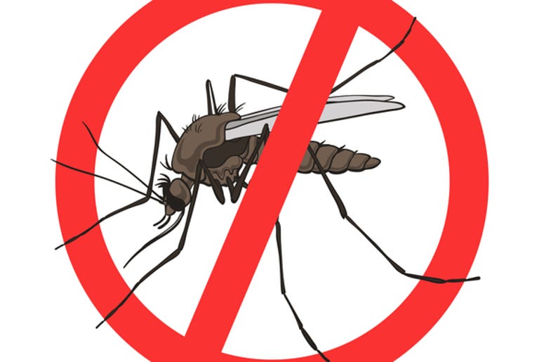 mosquitoes