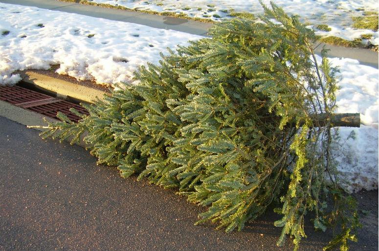 Poll When Do You Take Your Christmas Decorations Down Magic 106 7