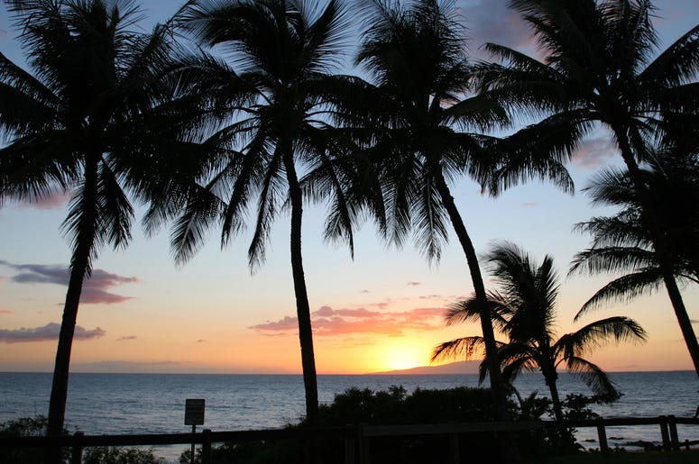 Hawaii Palm Trees at Sunset Southwest Airlines land in Hawaii