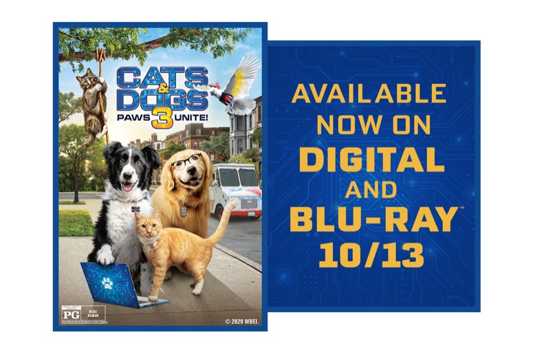 cats and dogs 3