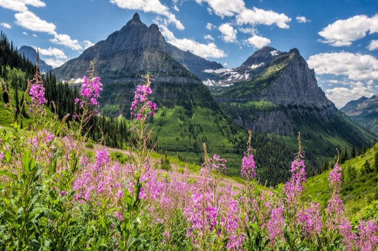 Garden Wall in Glacier National Park