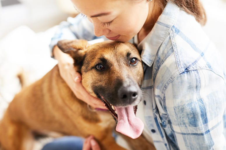 dog