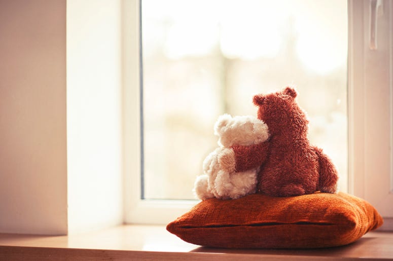 bears