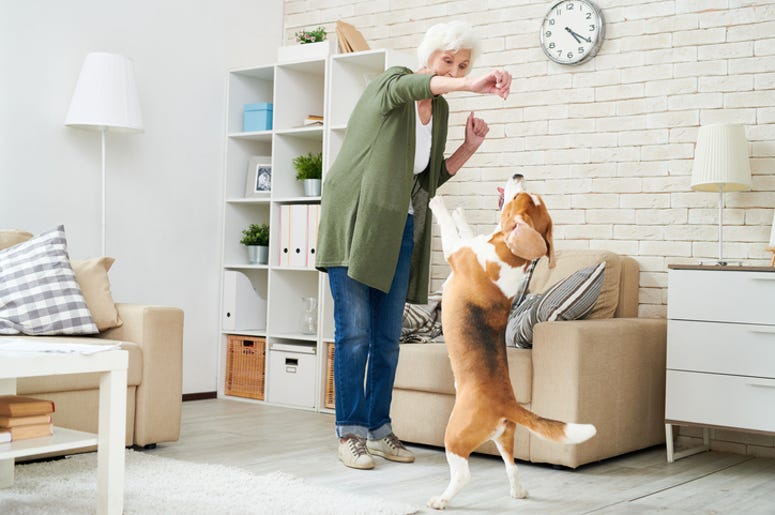 dog dancing