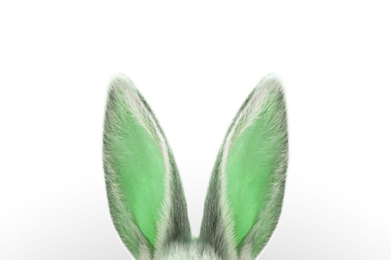 Green Bunny Ears