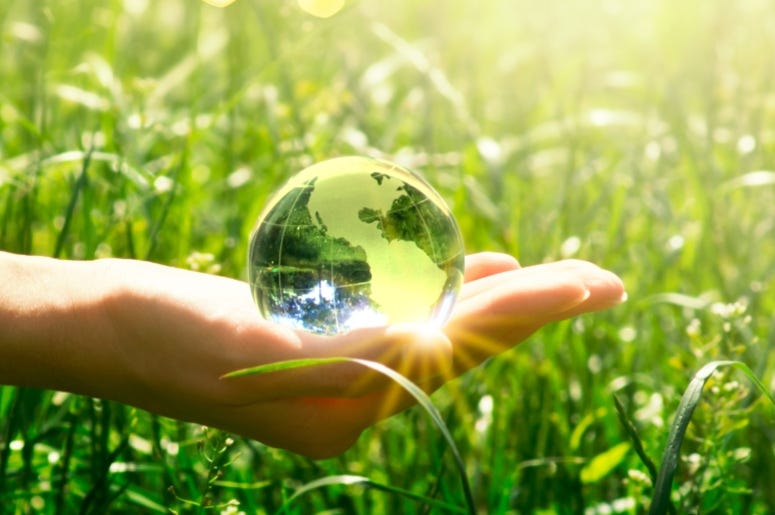 Hand Earth Green Yuliia Getty Images