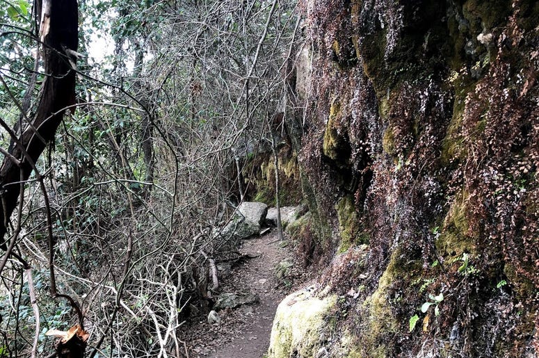bull creek