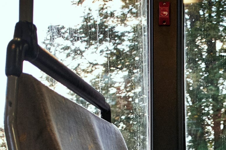 Public Bus seats