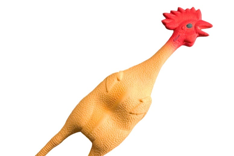 Rubber Chicken