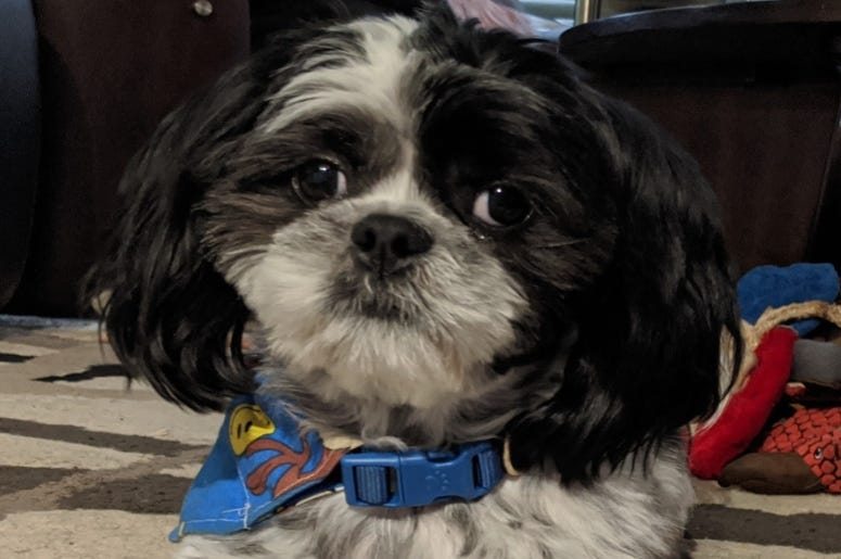 Rudy Roo